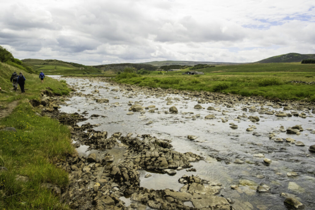 Harwood Beck - just before joining with R Tees