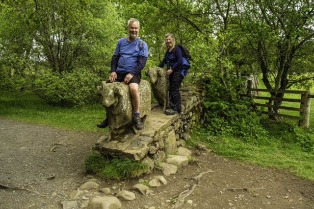 Riding the sheep near Wynch Bridge