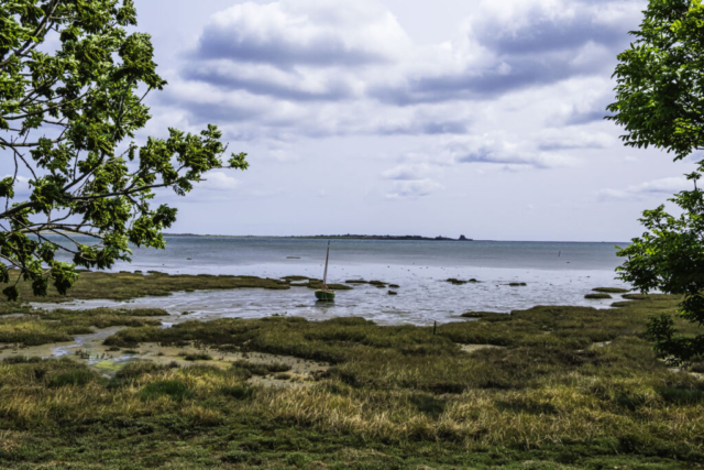 Slightly north of Fenham Mill