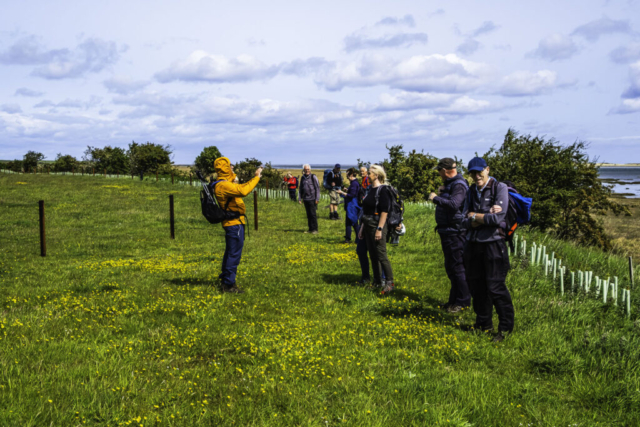 The new England Coastal Path near Fenham Mill