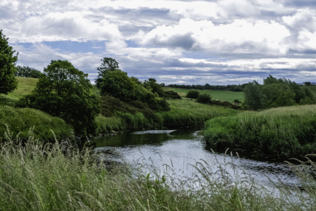 River Aln from bend in the river below Foxbury House.