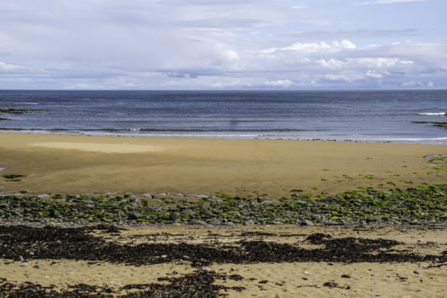 Sands near Howick Burn