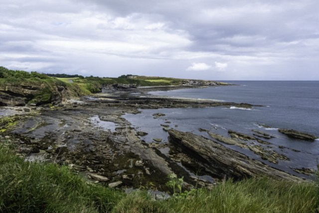 View from Howick to Cullernose Point