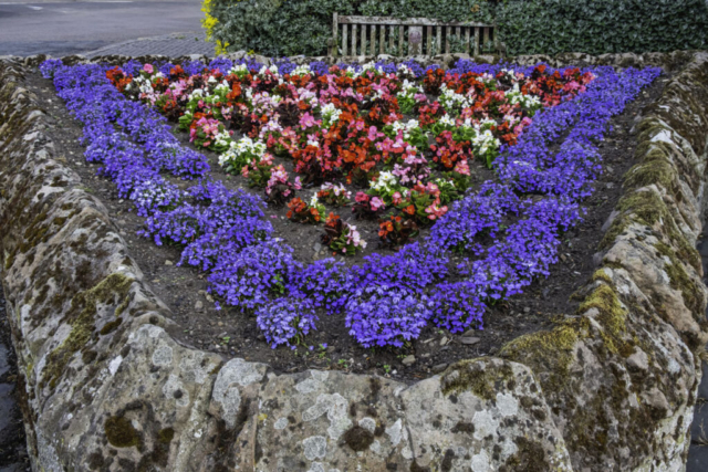 Flower bed at Embleton