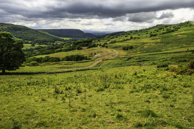 Looking east down Scugdale Looking east down Scugdale