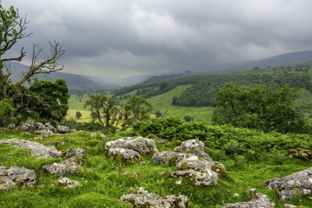 A cloudy/misty Upper Wharfedale from above Hubberholme Wood