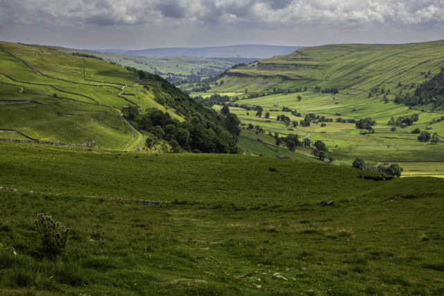 The view south down Upper Wharfdale from the descent to Starbotton