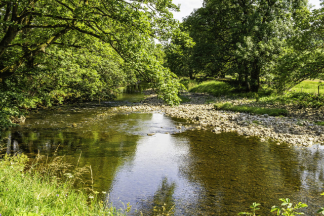 R Wharfe near Starbotton