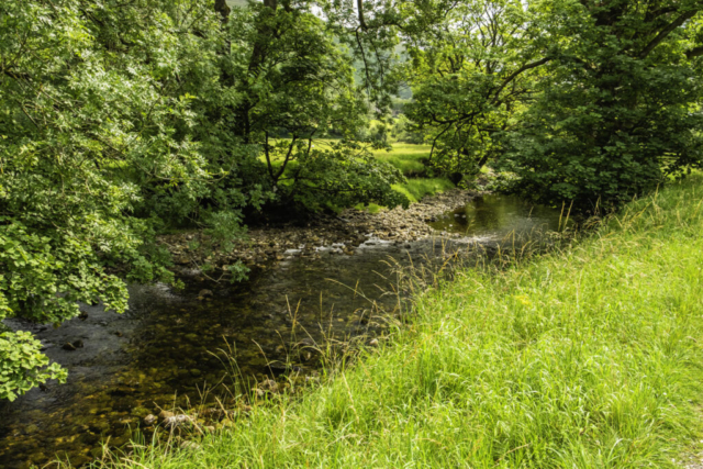 R Wharfe east of Hubberholme