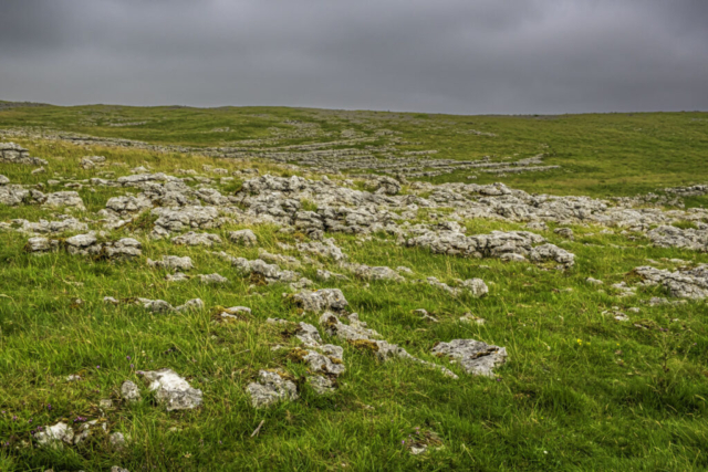 An early view of the limestone pavement - just before our lunch stop