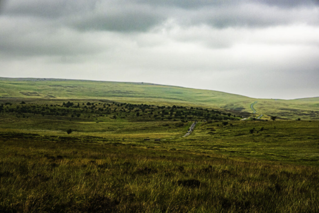 Approaching the minor road over Tarn Moor