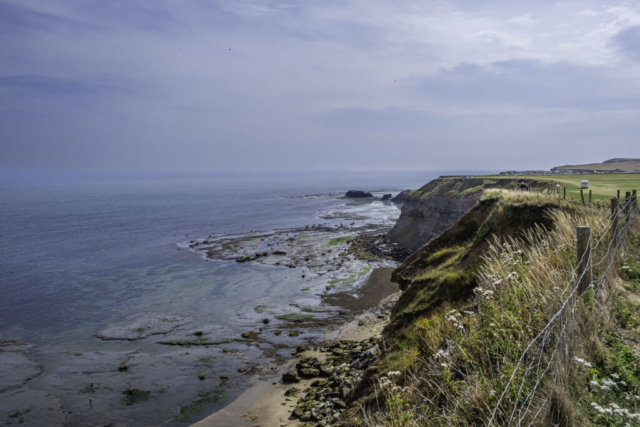 SE of Whitby Abbey - Looking south east to The Scar
