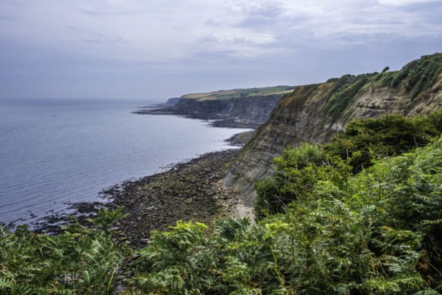 Looking south near Widdy Head