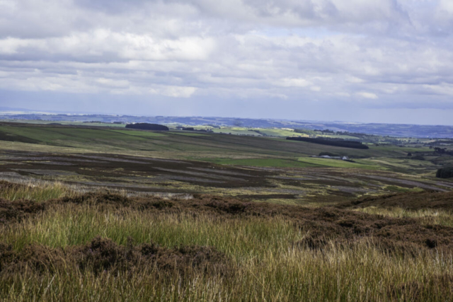 view NE from Westburnhope Moor