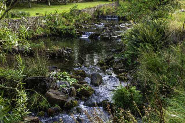 E Allen near Breckonholme