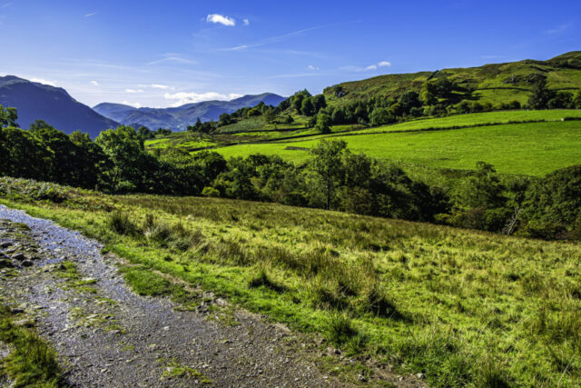 View S near the Aira Beck after leaving Dockray