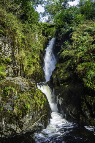Aira Force