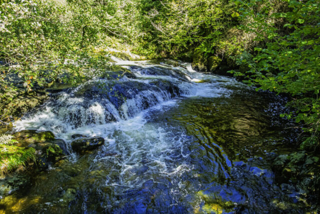 Aira Beck near our morning stop