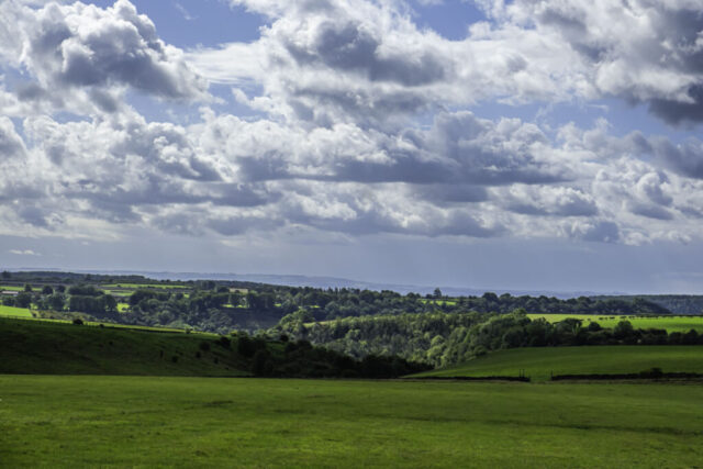 View south to Black Griff