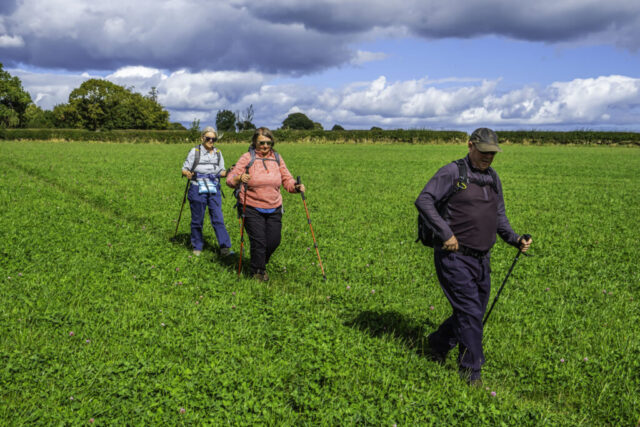 Just after crossing Lockton Lane