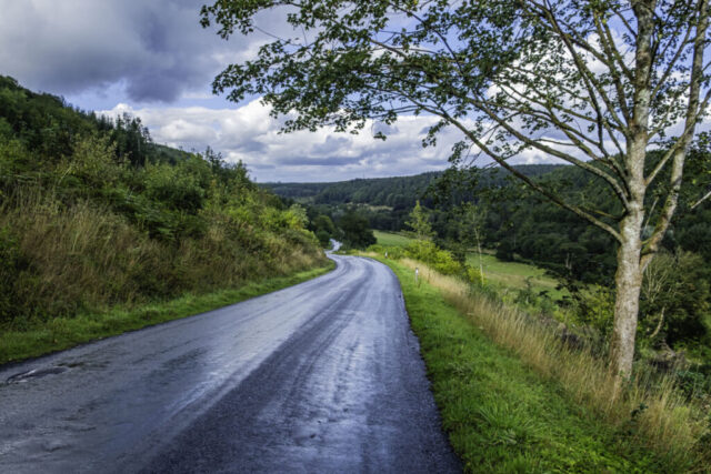 Looking north from Low Dalby Wood after a rain shower