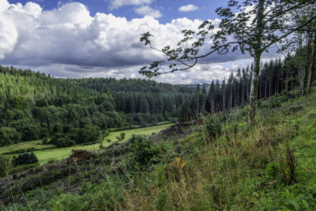 Looking south to Thornton Dale
