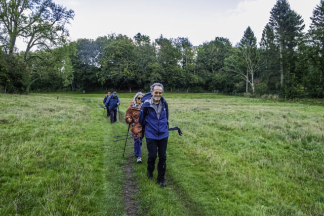 NE of Howl Dale Wood