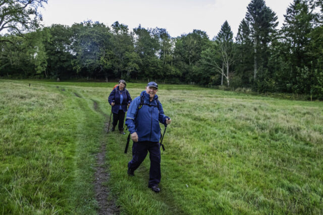 NE of Howl Dale Wood