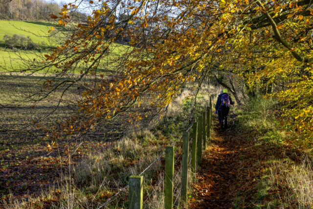 Autumnal River Tyne Trail NW of the paper mill