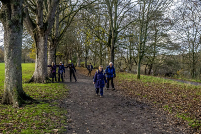 Nearer Hexham - alongside the golf course