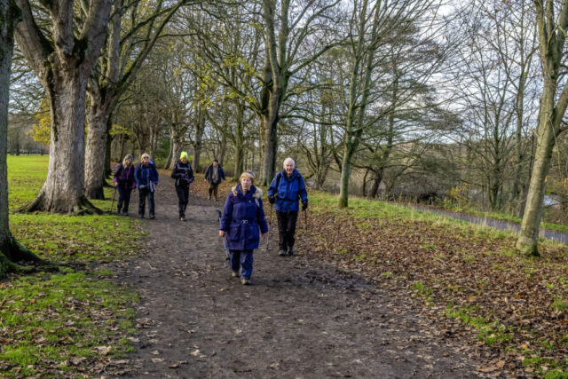 Nearer Hexham - alongside the golf course