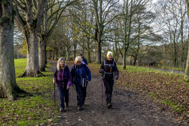 Nearer Hexham - alongside the golf course