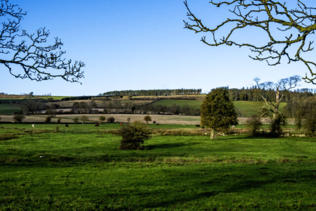 View NW from Walwick Grange