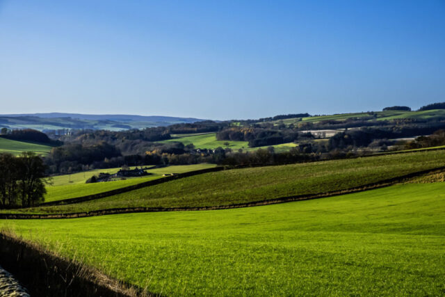 View to the S Tyne valley from N of Falstones