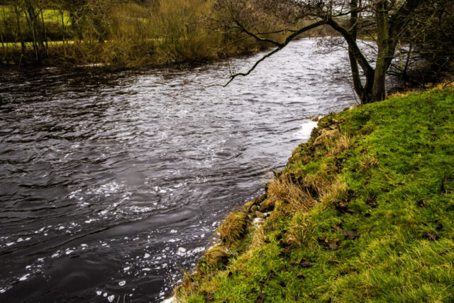 A fast flowing R Swale near our lunch spot