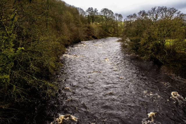 R Swale upstream from Downholme Br